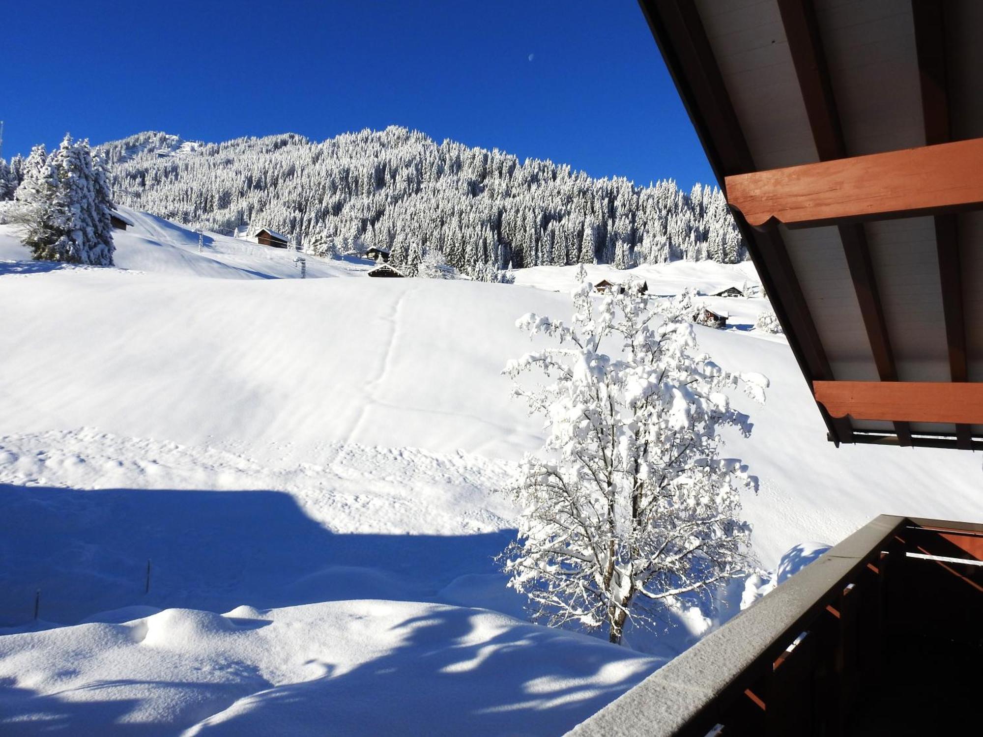 Appartamento Haus Berg & Tal Hirschegg  Esterno foto